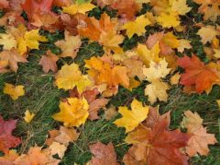 Radīts jauns tūrisma produkts "Izbaudi rudens šarmu Siguldā!"