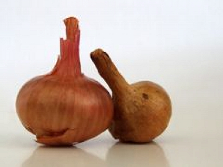 Piektdien noskaidros Latvijas sīkstākais neraudātājs