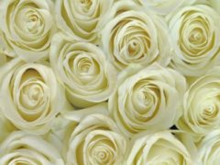 Rīgas pašvaldības bērnu un jauniešu centra struktūrvienība "Imanta" svinēs 90 gadu jubileju