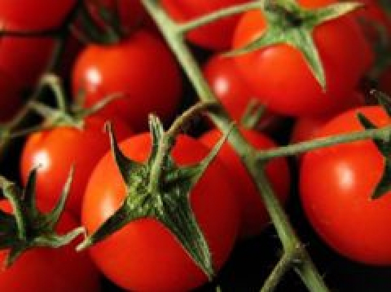 No šodienas Rīgā Dabas muzejā notiks tomātu un veselības augu parāde