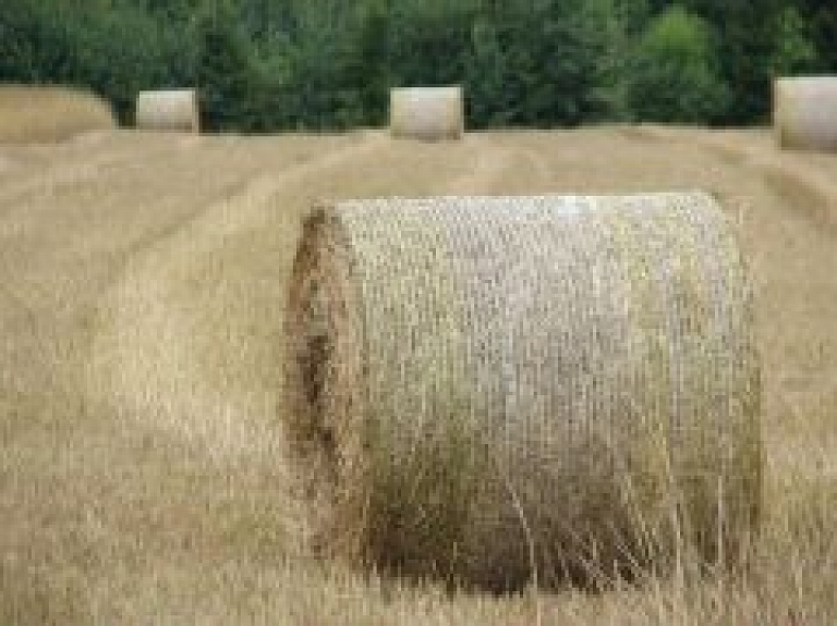 Šogad, pateicoties labvēlīgajiem laikapstākļiem, lauksaimniekiem veidojas siena pārpalikums