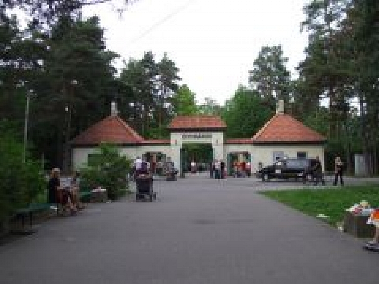 Šodien Rīgas Zooloģiskajā dārzā sākas svītrainās dienas