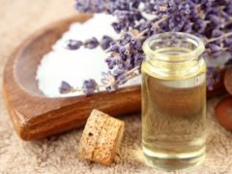 Vācu mākslinieks Reinhards Krēls aicina uz "Glābšanas centru" Torņkalna mazdārziņos