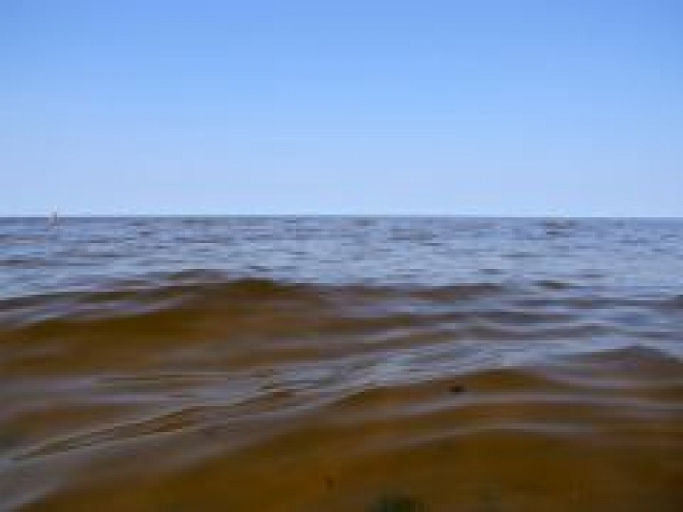 Jelgavā šodien notiks Ūdensaugu diena