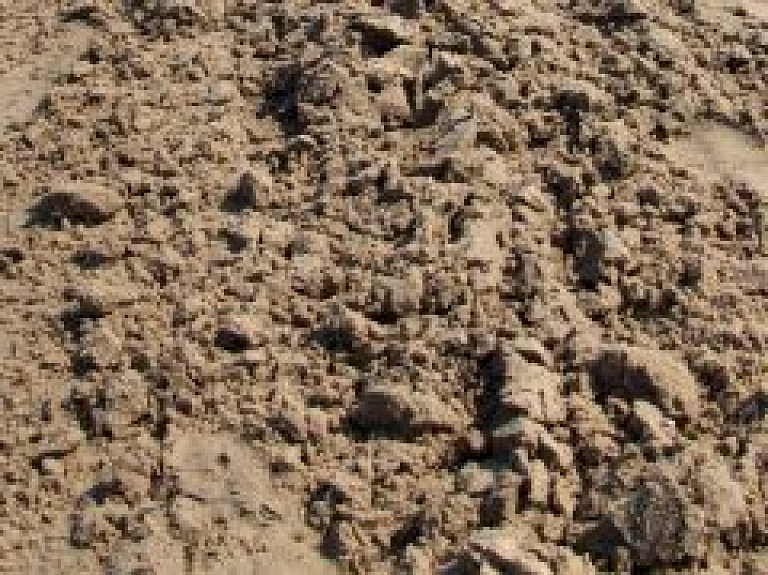 Smilšu skulptūru festivāla laikā Jelgavā apmeklētājiem piedāvās plašu kultūras programmu