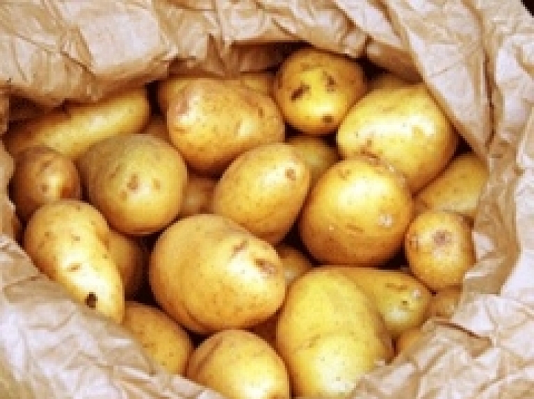 Laikraksts: Priekuļos audzēs kartupeļus badacietējiem nabadzīgajās pasaules valstīs