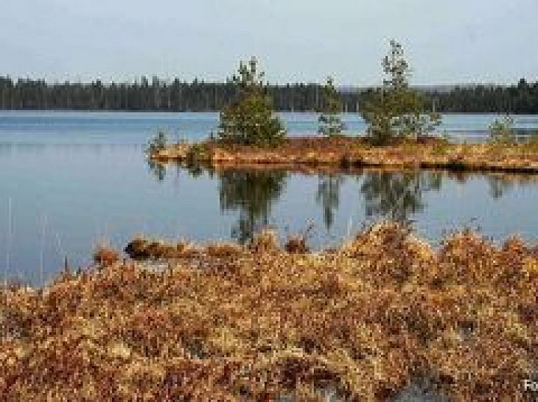 "Lielajam Pelečāres purvam" izstrādā dabas aizsardzības plānu