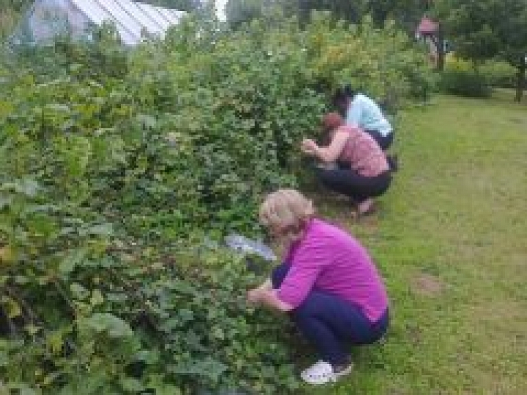 Viļakas sociālās aprūpes centra pārstāvji piedalās ražas novākšanā
