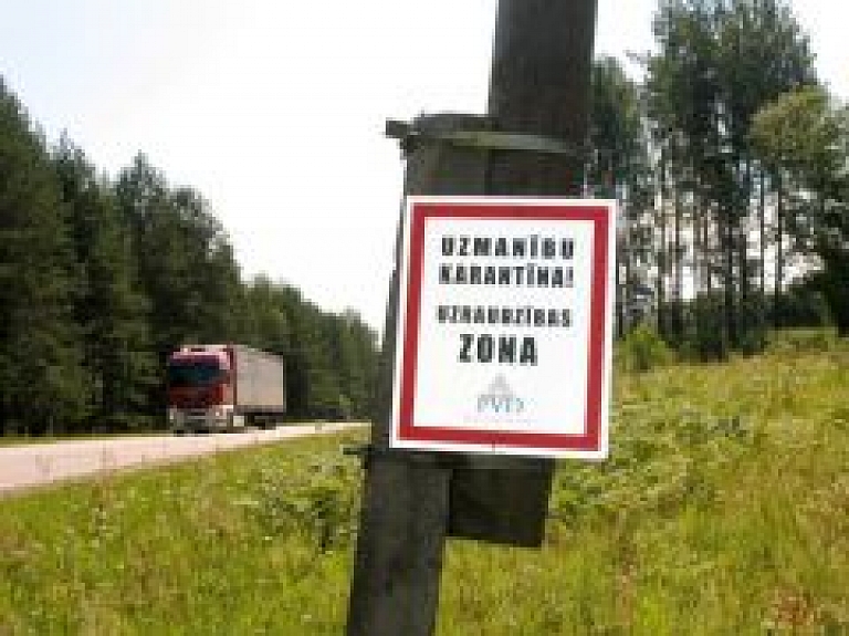 Daugavpils pusē jauni saslimšanas gadījumi ar Āfrikas cūku mēri