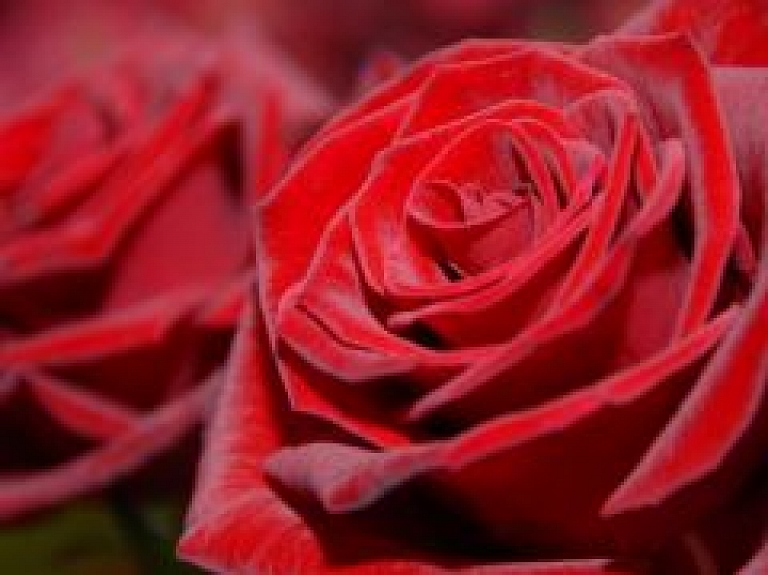 Balvu novada svētkos pasniegs Atzinības rakstus