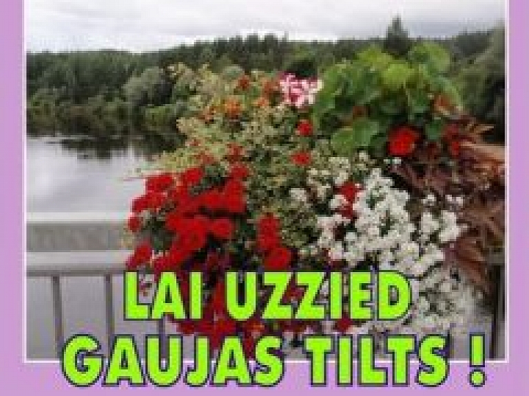 Ar puķu stādiem izdaiļos Gaujas tiltu