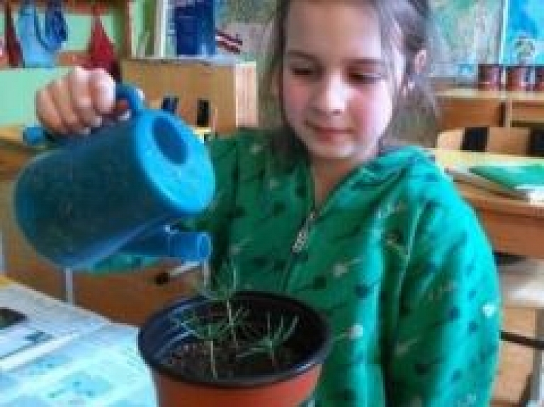 Baltinavas vidusskolas skolēni piedalās konkursā "Dārznīca"