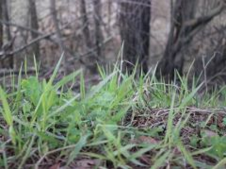Valmiera piedalīsies projektā inovatīvai teritoriju attīrīšanai