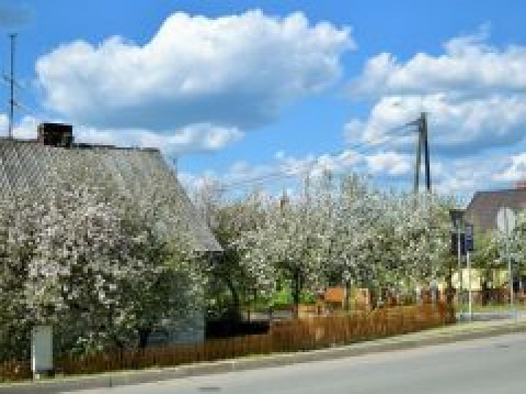 Noskaidros Cēsu skaistāko dārzu, tīrāko ietvi