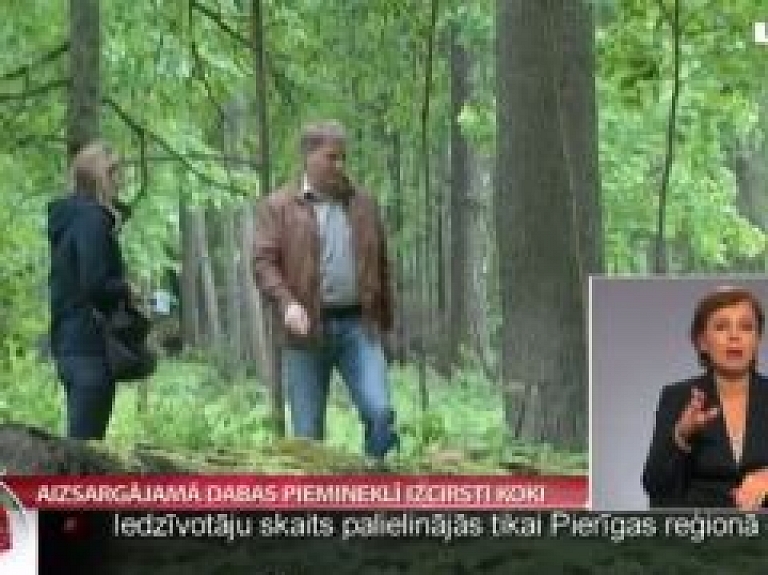 Aizsargājamā dabas piemineklī Kārsavas novadā izcirsti koki