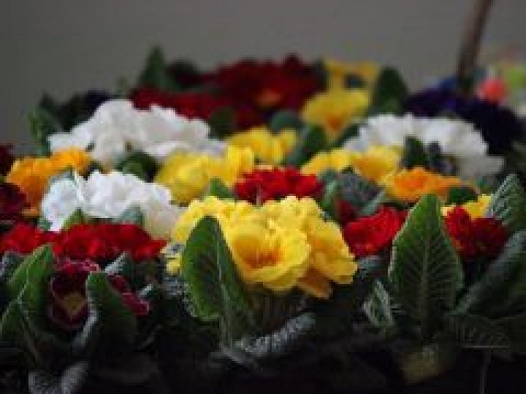 Pasniegs apbalvojumu "Goda daugavpilietis"