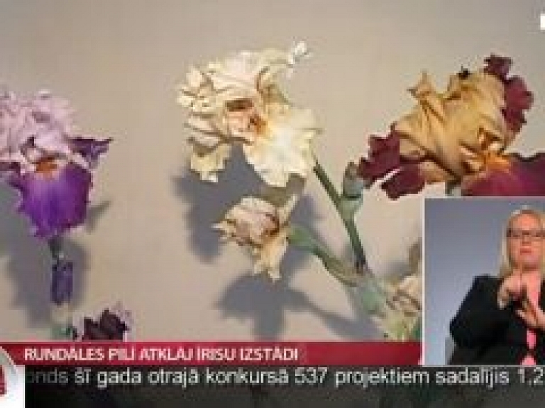 Rundāles pilī atklāj īrisu izstādi