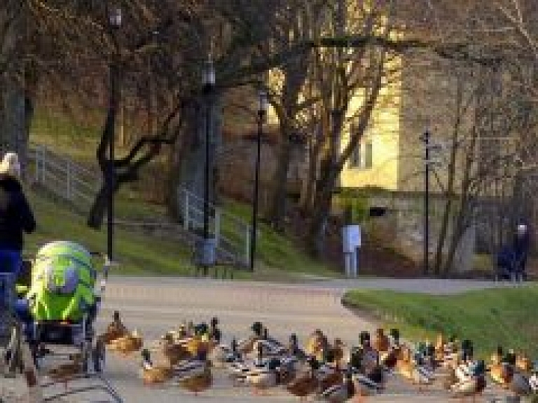 Valmierā un tās apkārtnē veido zemes lietošanas statistiku
