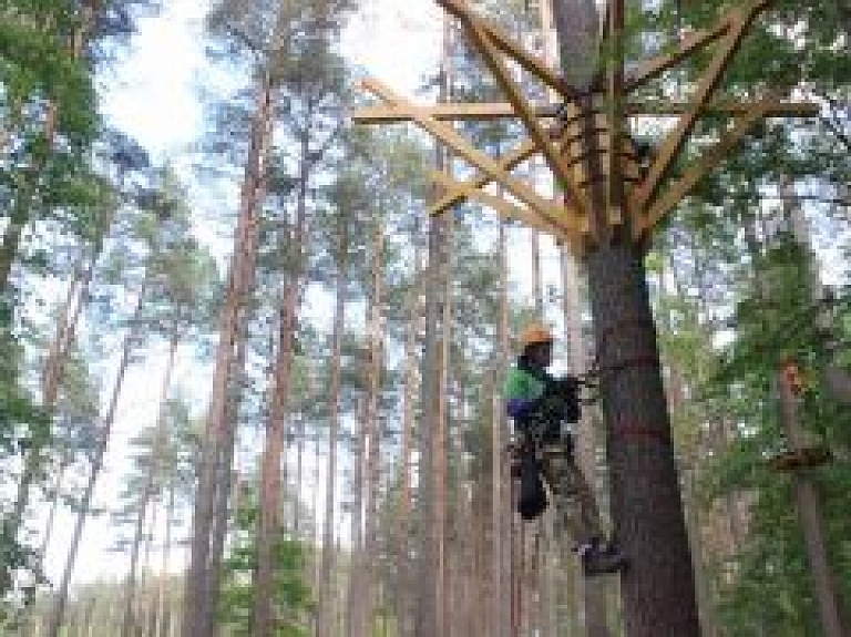 Sajūtu parkā sāk veidot aktīvās atpūtas taku kokos
