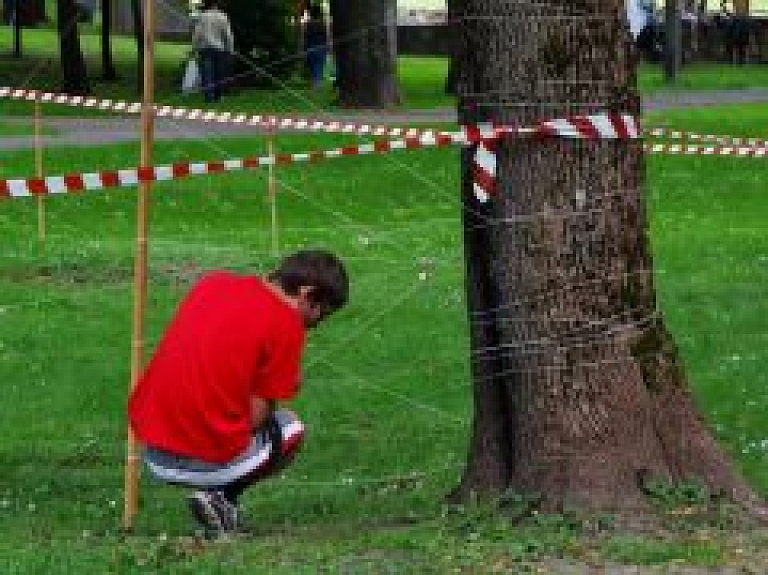 Limbažos norisināsies Jauniešu sporta diena
