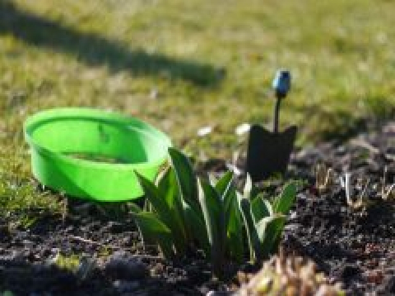 "Preiļu saimnieks" nodarbina skolēnus vasaras brīvlaikā