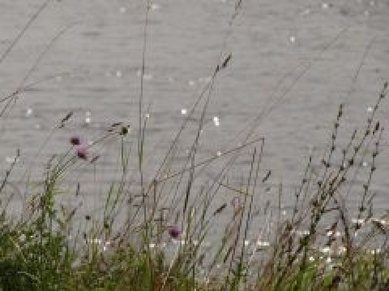 Daugavpils novadā upē noslīcis vīrietis