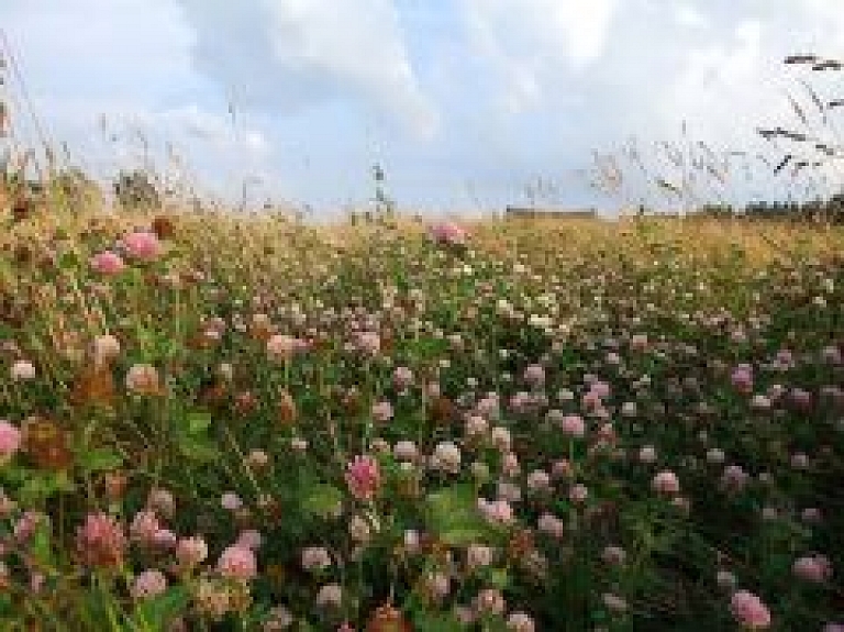 Krāslavas novada zemniekus aicina piedalīties pieredzes apmaiņā