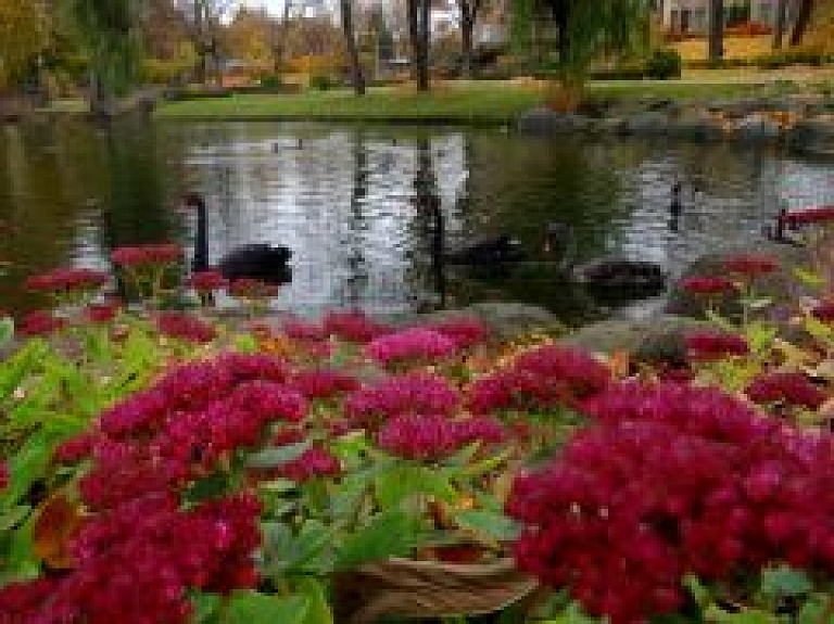 Aicina pieteikt konkursam Jūrmalas skaistākos dārzus un pagalmus