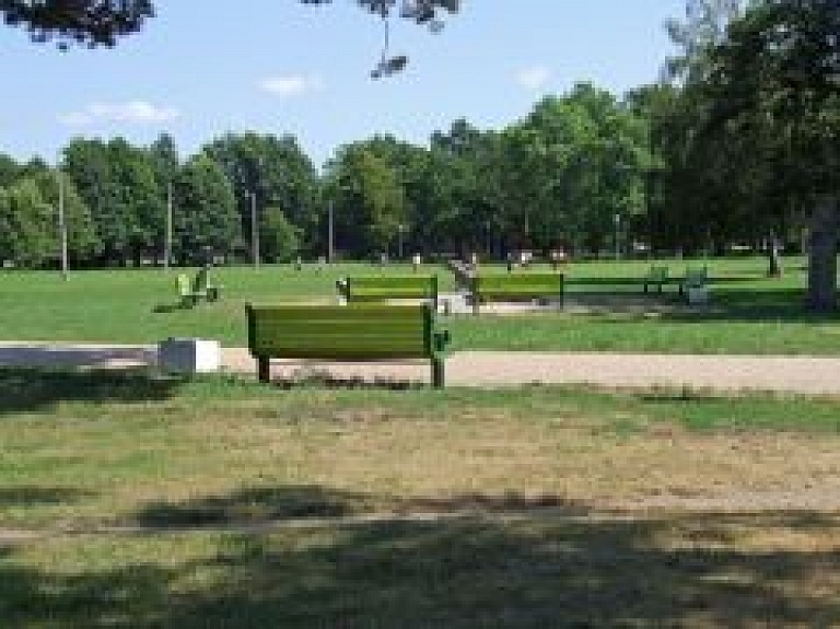 Būs publiskā apspriešana par koku ciršanu Krūmu ielas pārbūvē