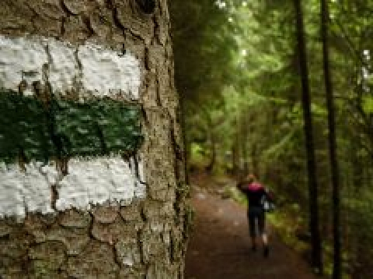 Bērnus un jauniešus aicina pārgājienos iepazīt Carnikavas novada dabu