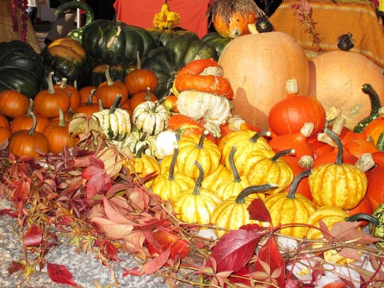 Miķeļdiena: rudens saulgrieži un ar tiem saistītās tradīcijas