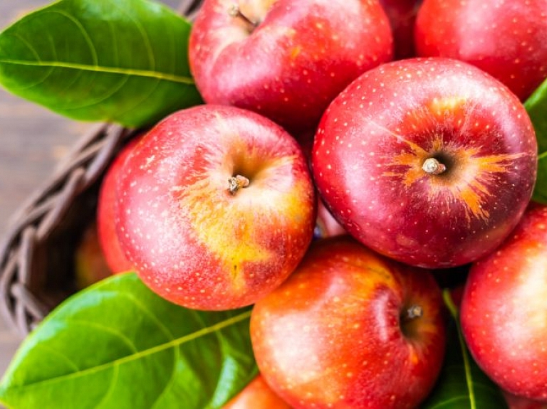 5 idejas, ko darīt ar āboliem