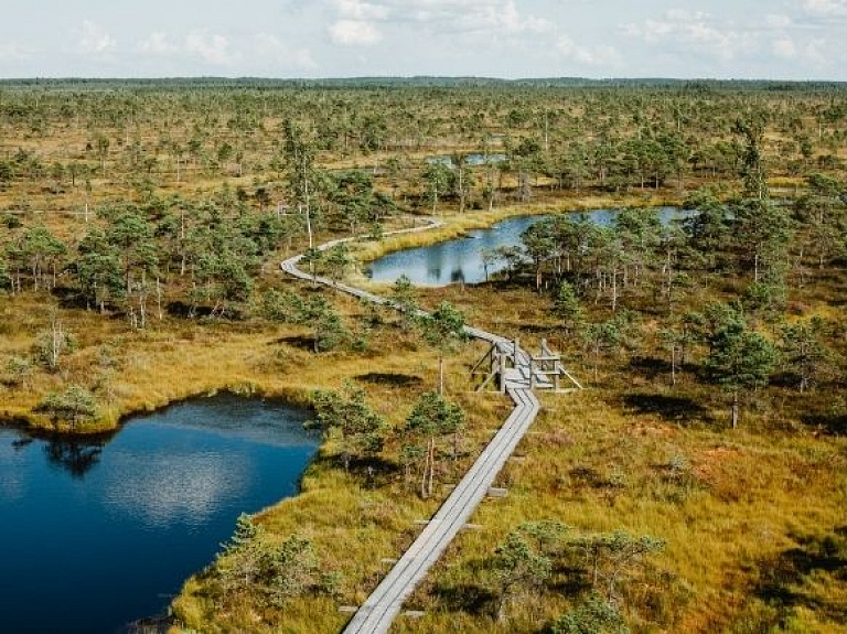 Ķemeru nacionālā parka Lielā Ķemeru tīreļa laipa