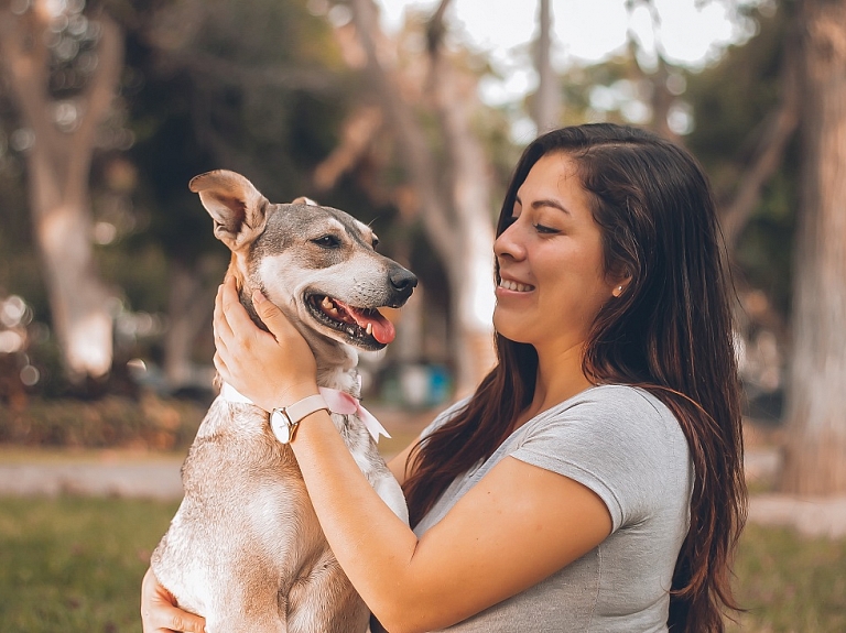 Fiziskās aktivitātes suņiem: kā palīdzēt savam sunim palikt veselam un laimīgam?