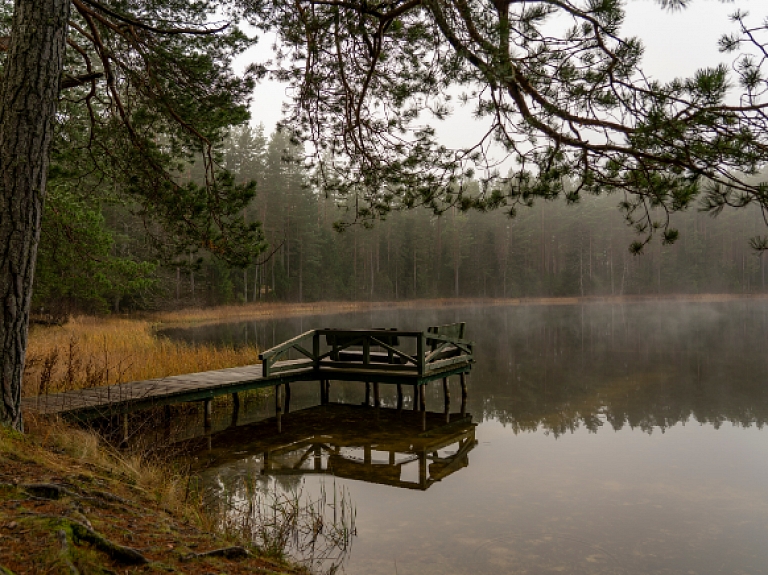 Latvijas Valsts mežu rekreācijas zona "Niedrāja ezers un apkārtne"

