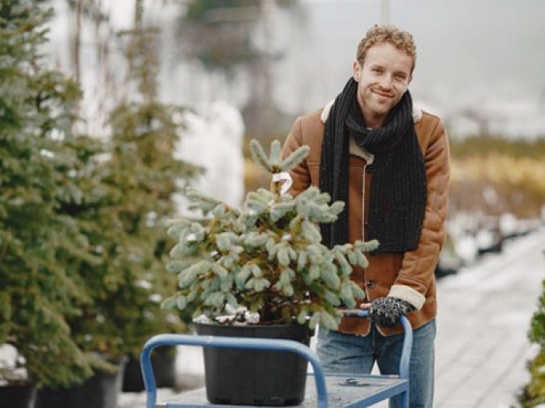 Sezonālie riski uzņēmumiem Daugavpilī: kā tiem sagatavoties