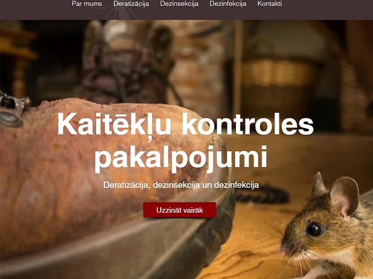 Kas ir deratizācija un kāpēc to veikt profesionāli? 