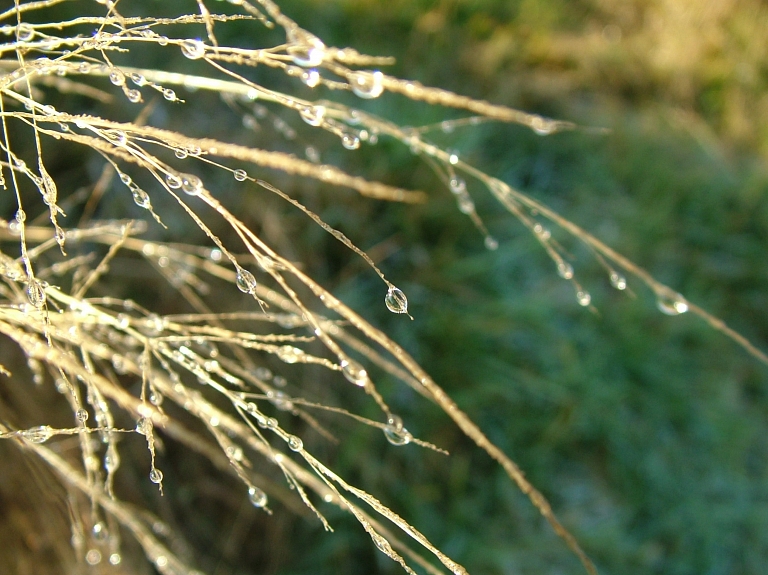 
Alūksnē
trešdien pēc saullēkta gaisa temperatūra bija plus 4,1 grāds

