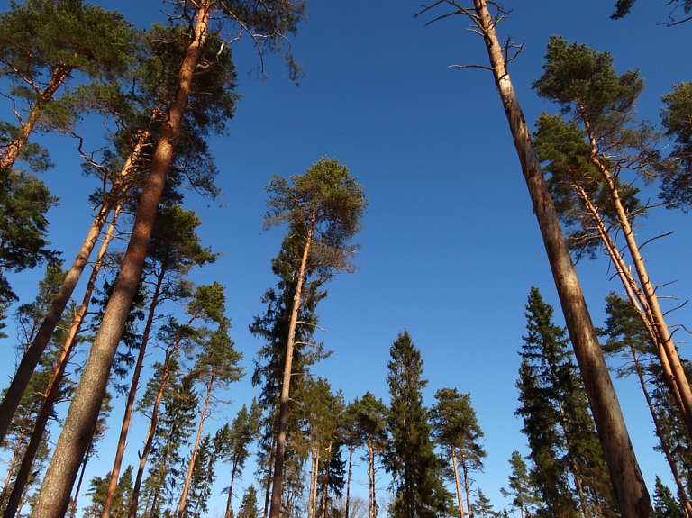 Oficiāli reģistrēta Valmieras pilsētas un Beverīnas novada robežas maiņa

