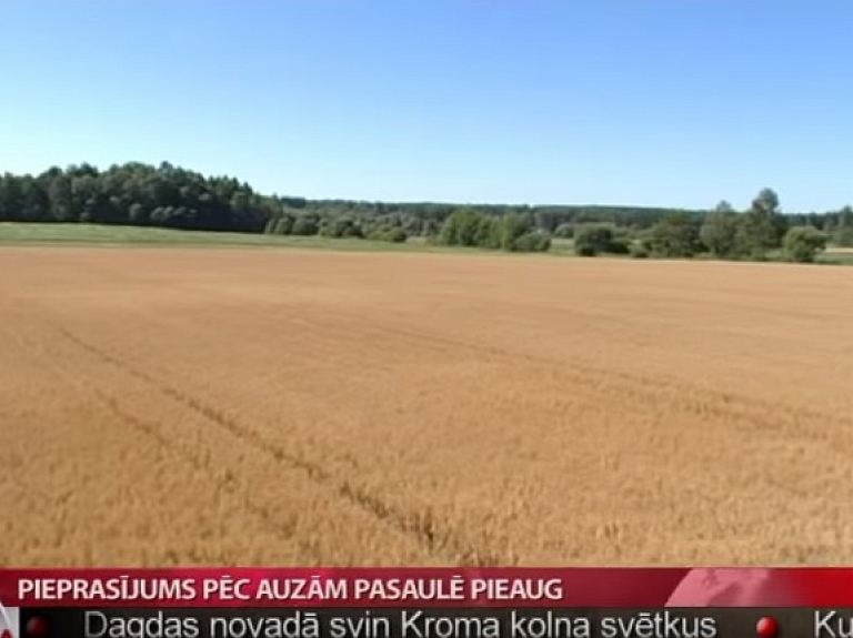 Pieprasījums pēc auzām pasaulē pieaug

