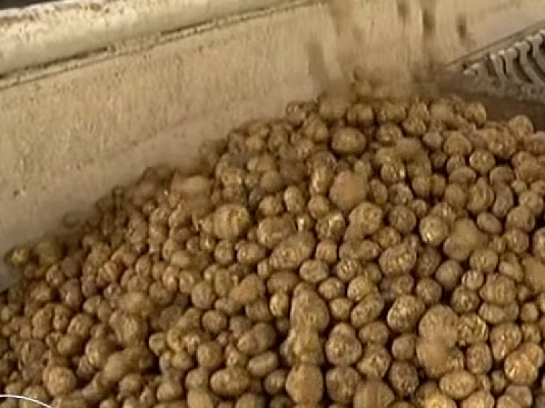 Aug pieprasījums pēc bioloģiskās kartupeļu cietes

