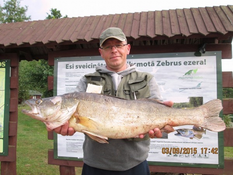 Dobeles novada Zebrus ezerā vareni lomi

