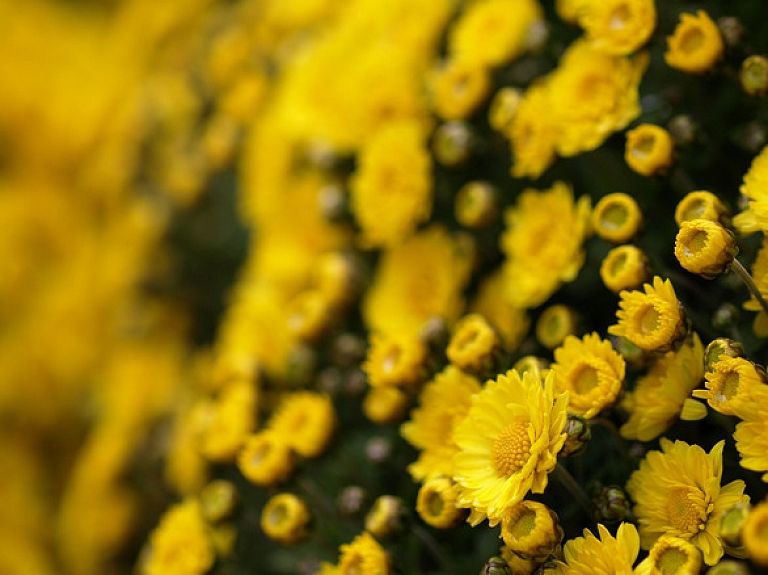 Krāslavā izdots albums "Latgales sirdspuksti"