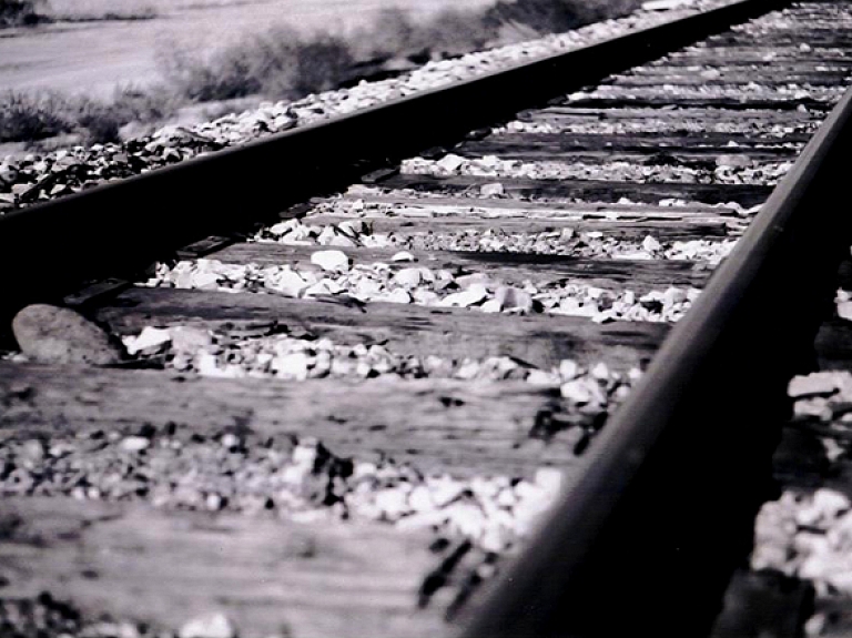 Baldone

nav gatava balsot par "Rail Baltica" novietojuma variantu