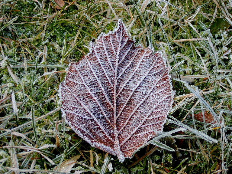 Gaisa temperatūra naktī uz trešdienu var noslīdēt zem nulles

