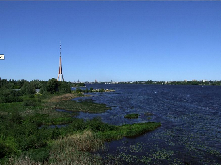 Rīgā Daugavā laiž ap 39 000 vimbu mazuļu

