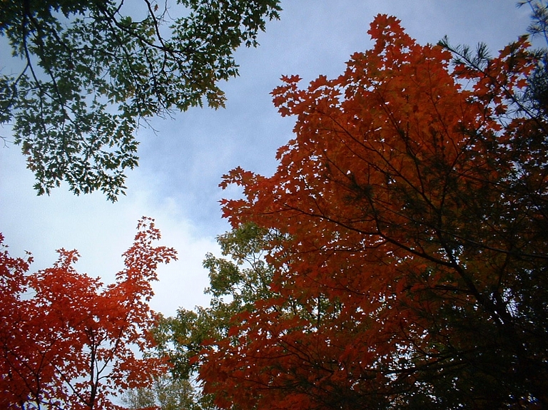 Oktobris sāksies ar plus 19 grādu temperatūru

