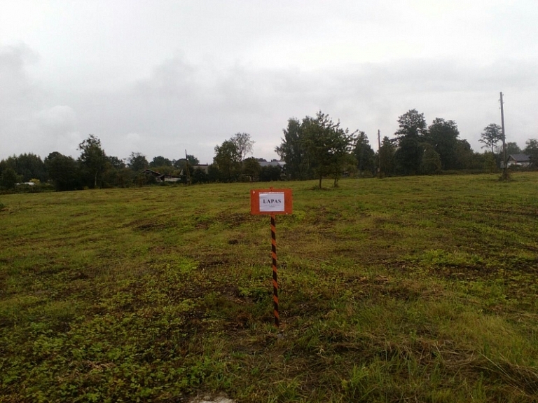 Carnikavas novada iedzīvotāji kritušās lapas drīkst izbērt Garajā ielā 20 

