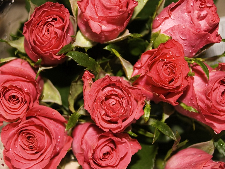 Pasniegs Balvu novada Domes Atzinības rakstus