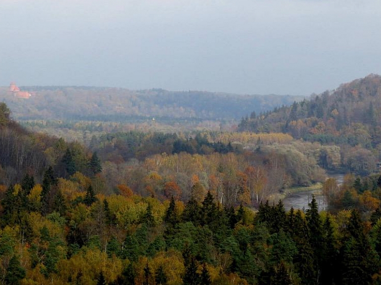 Siguldā un Gaujas senielejā ir sācies zelta rudens


